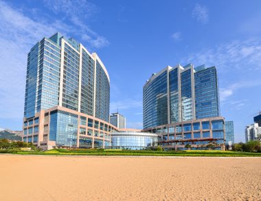 Báo cáo tình hình thực hiện các cam kết của doanh nghiệp phát hành đối với người sở hữu trái phiếu năm 2024